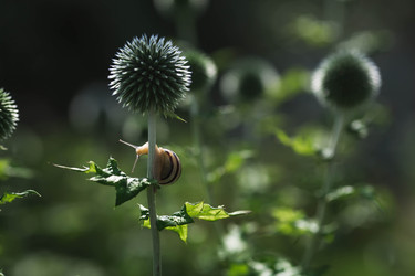 Similar image 22206711