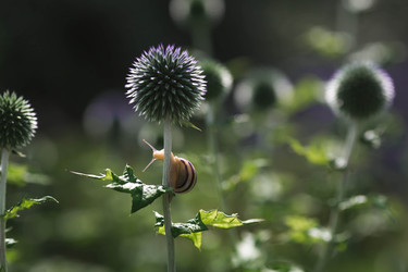 Similar image 22206713