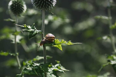 Similar image 22206714