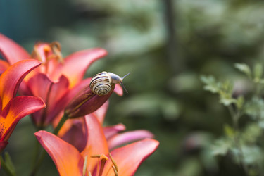 Similar image 22206715