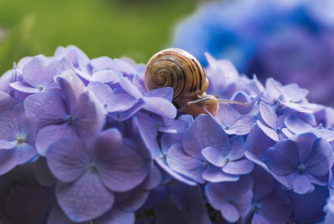 Similar image 22206717