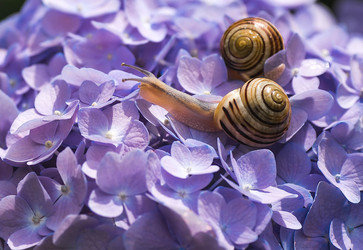 Similar image 22206719