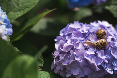 Similar image 22206720