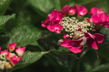 Similar image 22206721