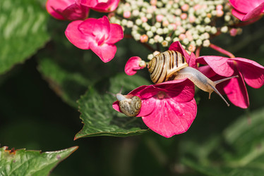 Similar image 22206722