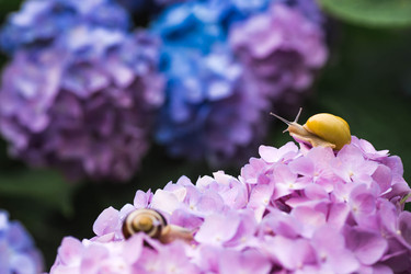 Similar image 22206723