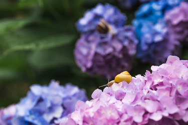 Similar image 22206724