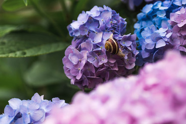 Similar image 22206725