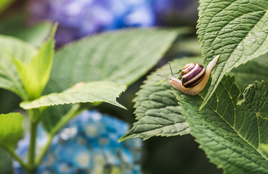 Similar image 22206726