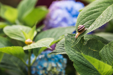 Similar image 22206727