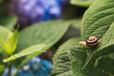 Similar image 22206728