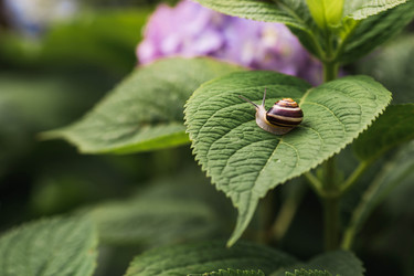 Similar image 22206729