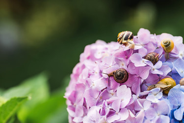 Similar image 22206730