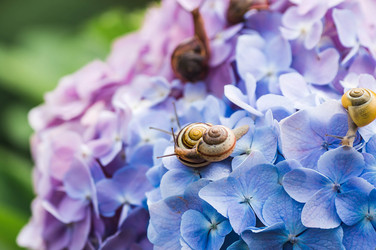 Similar image 22206731