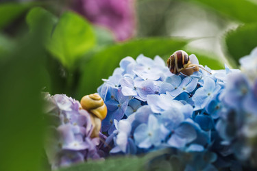 Similar image 22206732