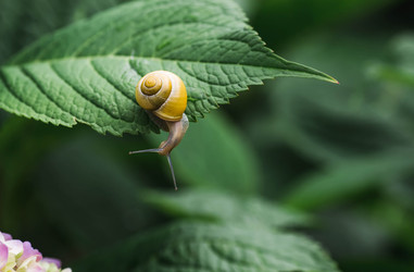 Similar image 22206735