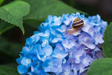 Similar image 22206739