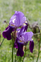 Similar image 22208723