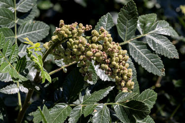 Similar image 22208728