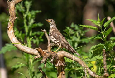 Similar image 22208823