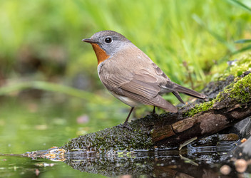 Similar image 22208824