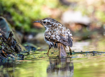 Similar image 22208825