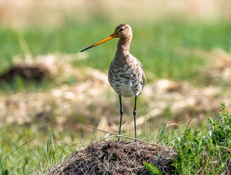 Similar image 22208827