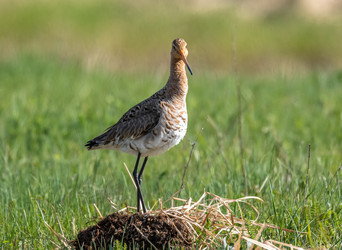 Similar image 22208828