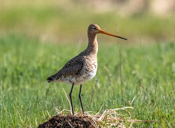 Similar image 22208829