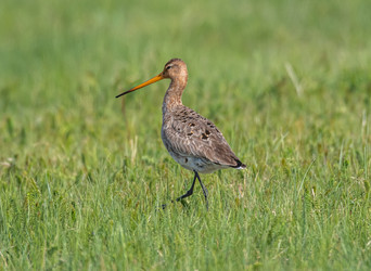 Similar image 22208830