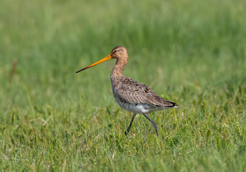 Similar image 22208831