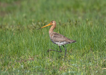 Similar image 22208832