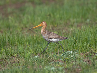 Similar image 22208833