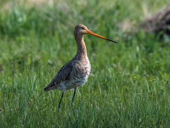 Similar image 22208834