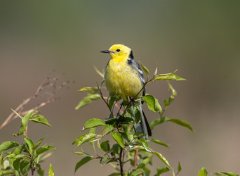 Similar image 22208835