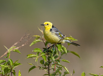 Similar image 22208836