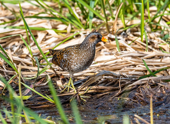 Similar image 22208837