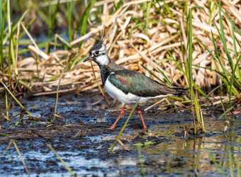 Similar image 22208838