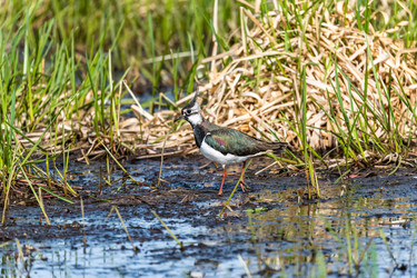 Similar image 22208839