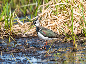 Similar image 22208840