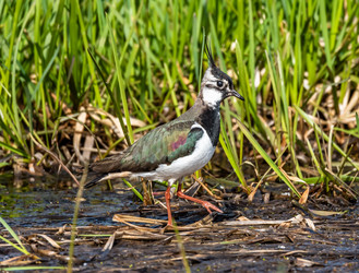 Similar image 22208842