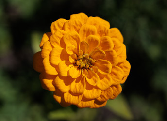 Similar image 22208844