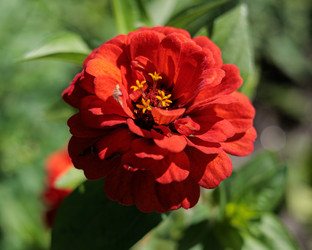 Similar image 22208845