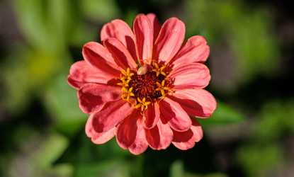 Similar image 22208846