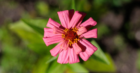 Similar image 22208847