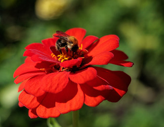 Similar image 22208848