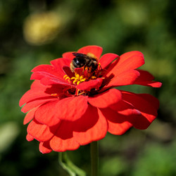 Similar image 22208849