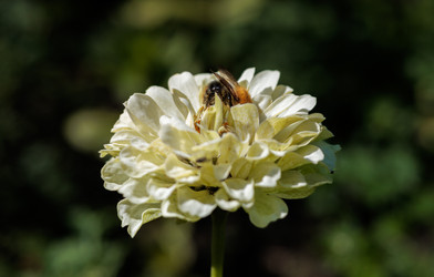 Similar image 22208850