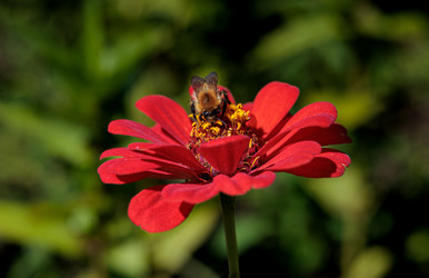 Similar image 22208851