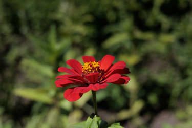 Similar image 22208852